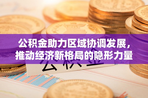 池州公积金助力区域协调发展，推动经济新格局的隐形力量
