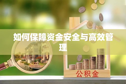 池州如何保障资金安全与高效管理