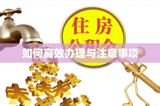 池州如何高效办理与注意事项