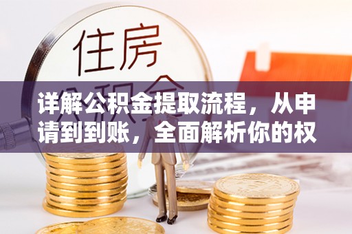 池州详解公积金提取流程，从申请到到账，全面解析你的权益与操作步骤