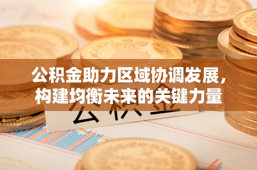 池州公积金助力区域协调发展，构建均衡未来的关键力量