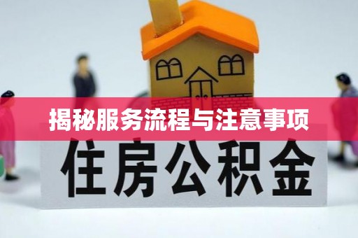 池州揭秘服务流程与注意事项