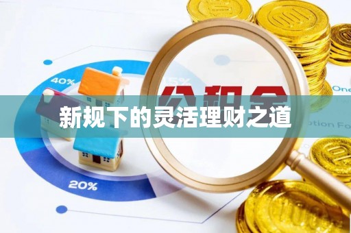 池州新规下的灵活理财之道