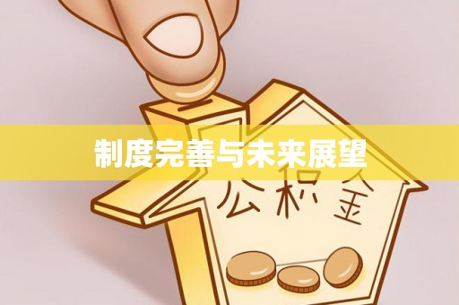 池州制度完善与未来展望