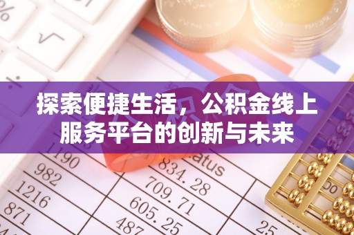 池州探索便捷生活，公积金线上服务平台的创新与未来