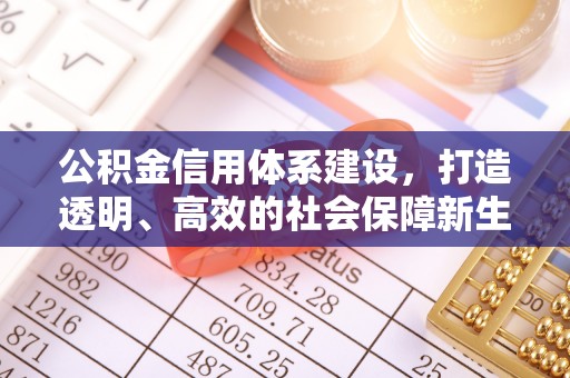 池州公积金信用体系建设，打造透明、高效的社会保障新生态