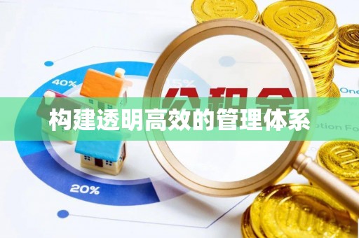 池州构建透明高效的管理体系