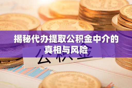 池州揭秘代办提取公积金中介的真相与风险