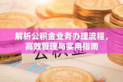 池州解析公积金业务办理流程，高效管理与实用指南