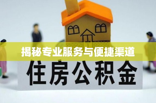 池州揭秘专业服务与便捷渠道