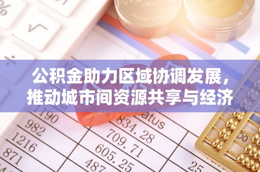 池州公积金助力区域协调发展，推动城市间资源共享与经济均衡发展