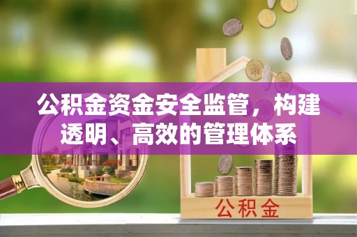 池州公积金资金安全监管，构建透明、高效的管理体系
