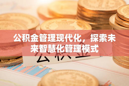 池州公积金管理现代化，探索未来智慧化管理模式