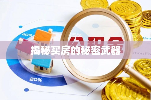 池州揭秘买房的秘密武器