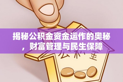 池州揭秘公积金资金运作的奥秘，财富管理与民生保障