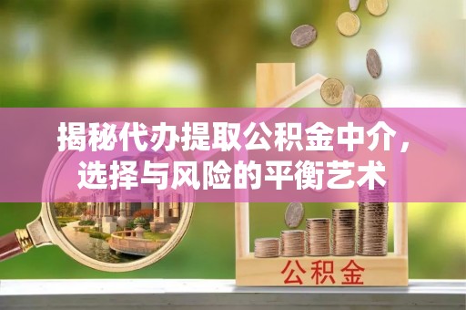 池州揭秘代办提取公积金中介，选择与风险的平衡艺术