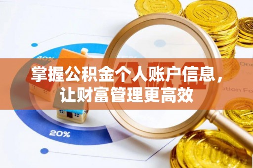池州掌握公积金个人账户信息，让财富管理更高效