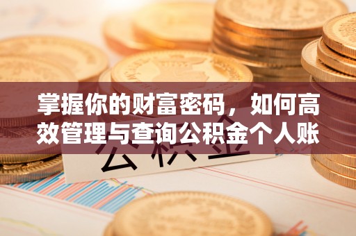 池州掌握你的财富密码，如何高效管理与查询公积金个人账户信息