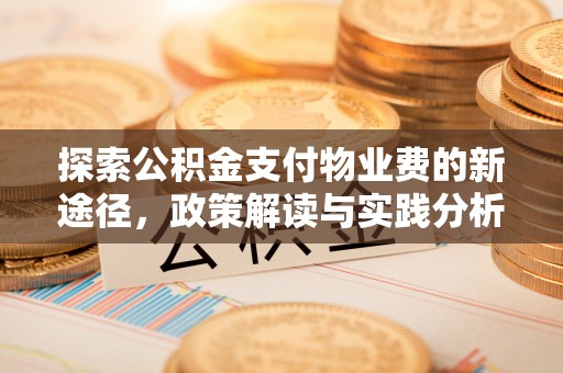 池州探索公积金支付物业费的新途径，政策解读与实践分析