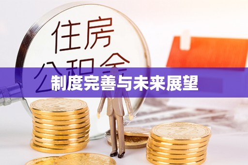 池州制度完善与未来展望
