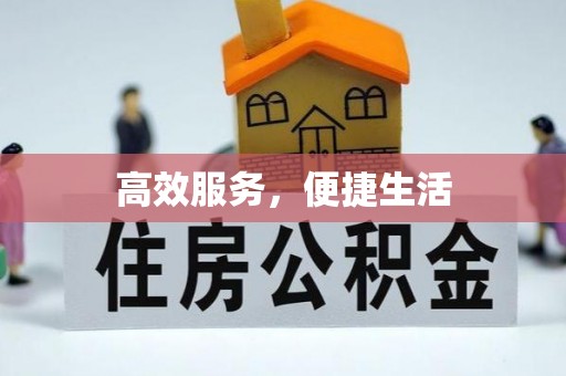 池州高效服务，便捷生活