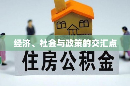 池州经济、社会与政策的交汇点