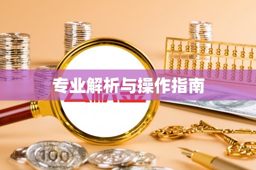 池州专业解析与操作指南