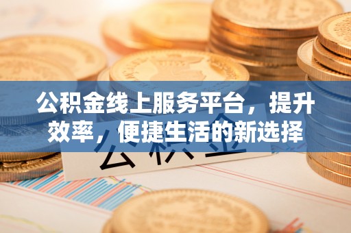 池州公积金线上服务平台，提升效率，便捷生活的新选择