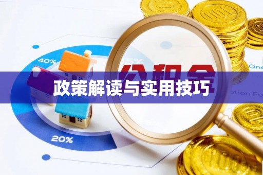 池州政策解读与实用技巧
