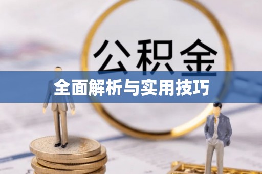 池州全面解析与实用技巧