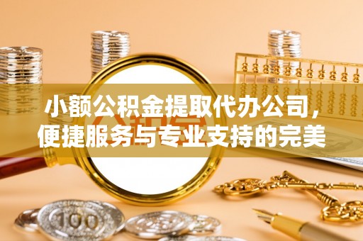 池州小额公积金提取代办公司，便捷服务与专业支持的完美结合