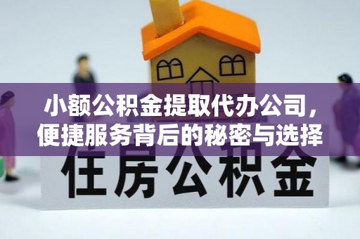 池州小额公积金提取代办公司，便捷服务背后的秘密与选择指南