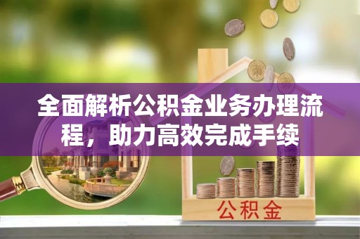 池州全面解析公积金业务办理流程，助力高效完成手续