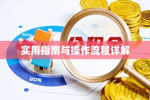池州实用指南与操作流程详解