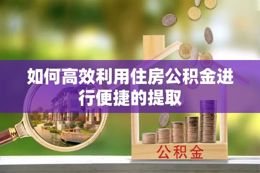 池州如何高效利用住房公积金进行便捷的提取