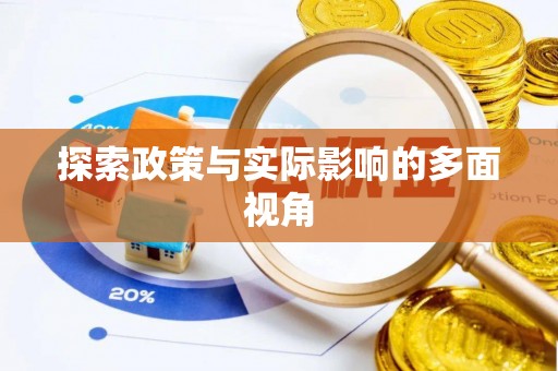 池州探索政策与实际影响的多面视角