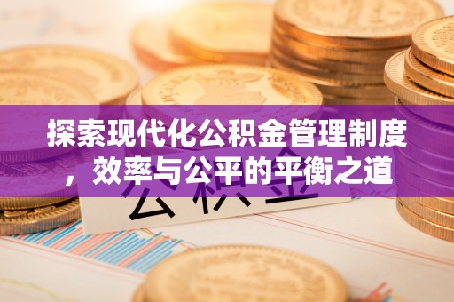 池州探索现代化公积金管理制度，效率与公平的平衡之道