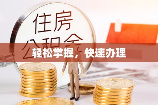 池州轻松掌握，快速办理
