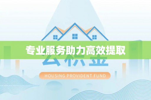 池州专业服务助力高效提取