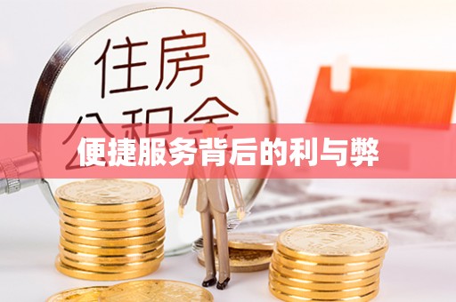 池州便捷服务背后的利与弊