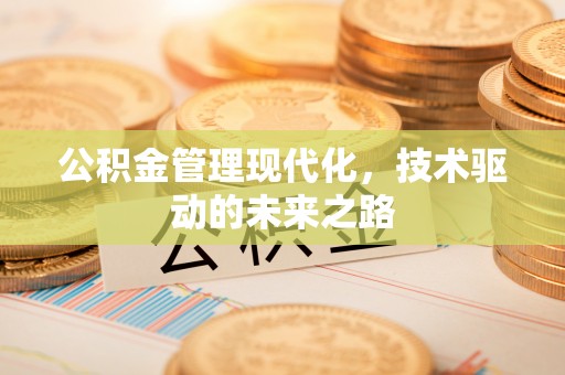 池州公积金管理现代化，技术驱动的未来之路